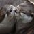Kathy Valentine Park's profile image