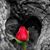 Venetia G.'s profile image
