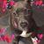 Mary Seaman's profile image