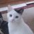Emile Axenchuk's profile image