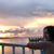 Sylvia Lopez's profile image