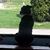 Misty Johnson-Frampton's profile image