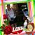 Jo Ann Christian's profile image