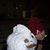 Lisa Ferrell's profile image