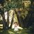 Carissa Reichert's profile image