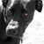 Carrie Hicks's profile image