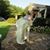 Lourdes Wood's profile image