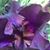 Tina Helton's profile image