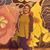 Brianna Wilkins's profile image