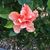 Donna Tobin's profile image