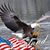 Chris Veldman's profile image
