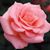 Mari Crespo's profile image