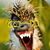 Kitt Hazelton's profile image
