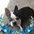 Cristy Rosenhahn's profile image
