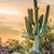 Denise Boehme's profile image