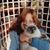 Vanessa Hodgson's profile image