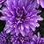 Michelle Blasiak's profile image