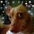 Jackie Alegre's profile image