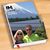 Rhonda Gray McClintock's profile image