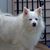 Michelle Sellars's profile image