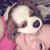 Dawn Kinney's profile image