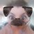 Azu Cena's profile image