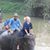 Carolyn Christopher's profile image