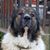 Serdar Sarac's profile image