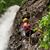 Deborah Linscombe's profile image