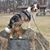 Kat Vanderbosch Kulchinski's profile image