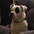 Jolene Gryp's profile image