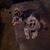 Aletha Adkins's profile image