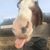 Stacey Hannigan Grant's profile image