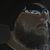 Mike Meza's profile image