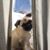 Donny McCraith's profile image