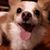 Dawn Rilk's profile image