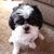 Robert Butler's profile image