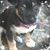 Deann Jacobs's profile image