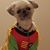 Judy Cross's profile image