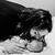 Ashleigh McGhee's profile image