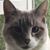 Kelly McCormick's profile image