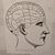 Chris McElhone's profile image