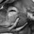 Sasha Covey's profile image