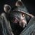Kathy Buchhorn's profile image
