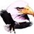 Bob Ostermann's profile image