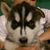 Paul Anthony Martinez's profile image