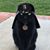 Bill Oldridge's profile image