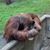 Marshall K. Scully's profile image