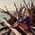 Jeannette Roldan-Garzon's profile image