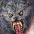 Marc Cain's profile image
